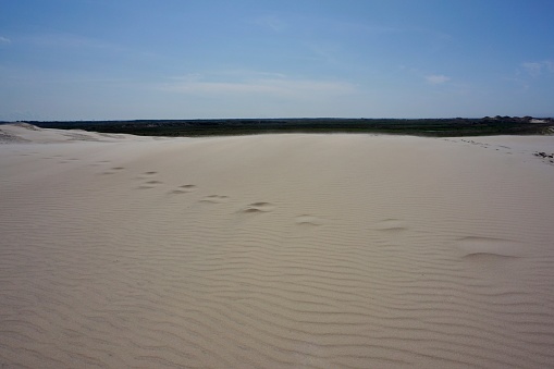 Sand dunes on the isle of Rottumeroog in The Netherlands. North sea in the background.