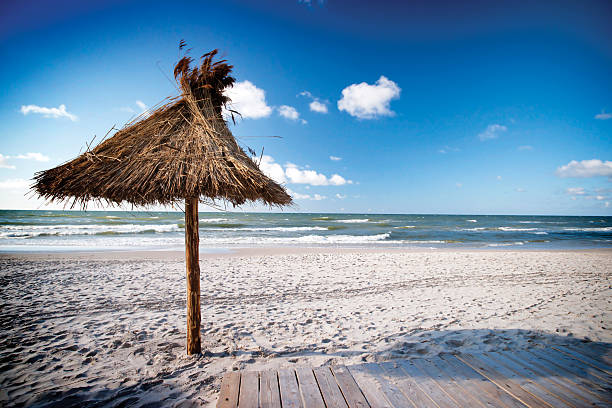 istock Straw umbrella at the beach 153636814