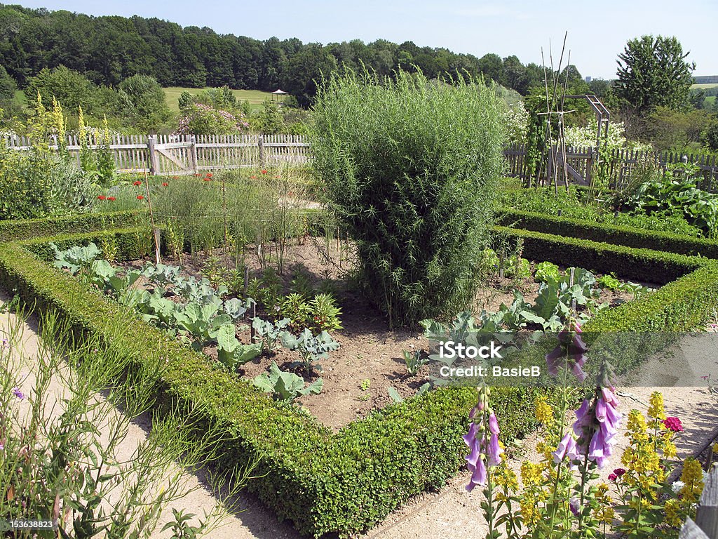 Gemüsegarten - Lizenzfrei Agrarland Stock-Foto