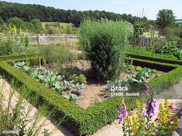 Gemüsegarten Stockfoto und mehr Bilder von Agrarland - Agrarland, Blattgemüse, Blume