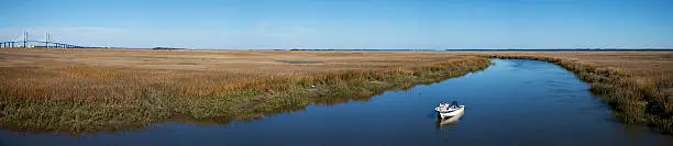 Photo of Georgia coast panorama with stream