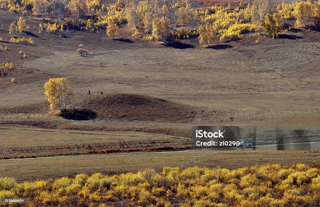 Grassland autunno paesaggio - Foto stock royalty-free di Albero