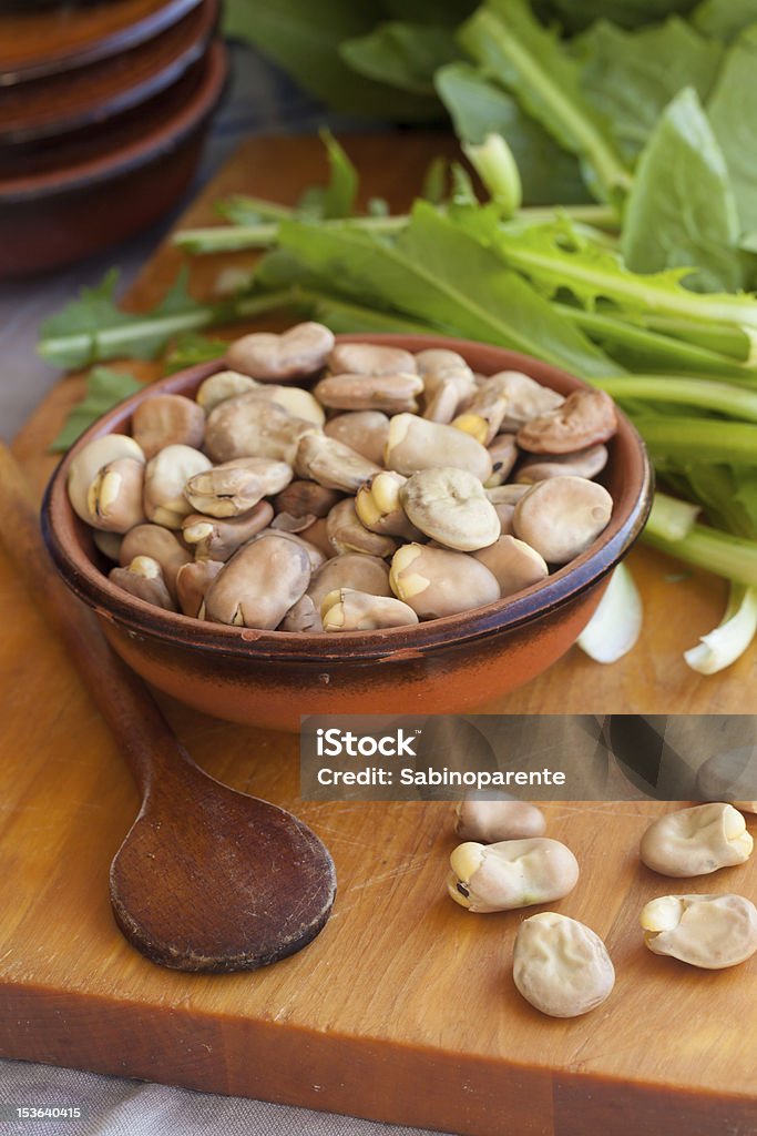 ソラマメの豆、チコリ - ソラマメのロイヤリティフリーストックフォト