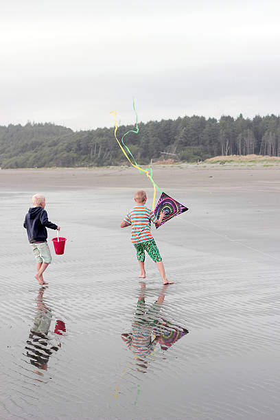 istock Brothers Having Fun At The Beach 153642037