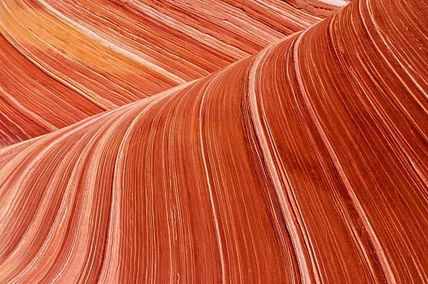 "The Wave" - Vermillion Cliffs, Utah Close up of "The Wave" - Vermillion Cliffs National Park, Utah - Summer 2012 coyote buttes stock pictures, royalty-free photos & images