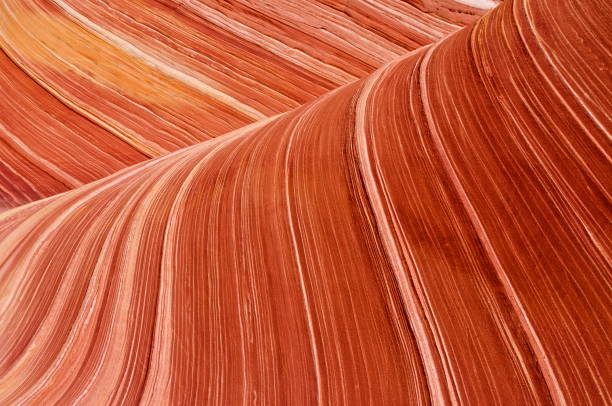 "a onda"-vermillion cliffs, utah - rock strata natural pattern abstract scenics imagens e fotografias de stock