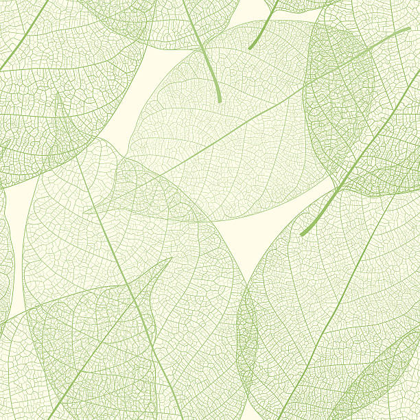 seamless green leaves pattern - nature stock illustrations