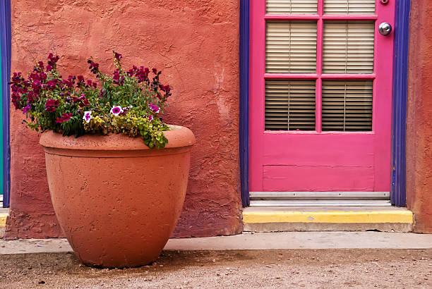 istock Flower pot against terracotta wall 153642616