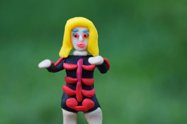 istock A toy doll in a skeleton costume. 1536461652