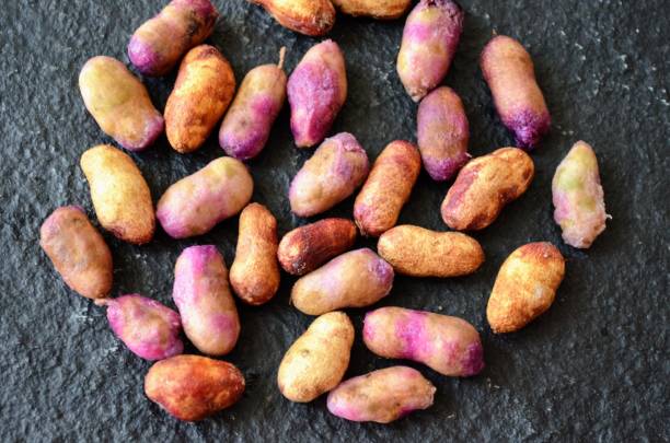 Syzygium cumini, commonly known as Malabar plum, java or black plum, jamun or jambolan. It is an evergreen tropical tree in the flowering plant family Myrtaceae. Seeds pits on black background.
