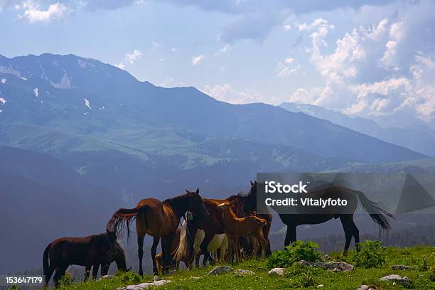 Foto de Vista Do Cáucaso Ocidental e mais fotos de stock de Azul - Azul, Azul Turquesa, Beleza