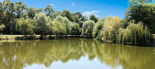 A tranquil lake nestled in a lush park, surrounded by trees