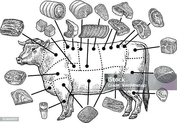 Ilustración de Los Cortes De Carne De Res De Materias y más Vectores Libres de Derechos de Carne - Carne, Carne de vaca, Corte de carne