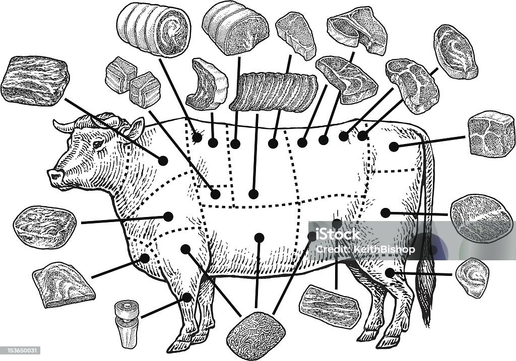 Meat Cuts - Raw Beef Meat Cuts - Raw Beef. Pen and ink style illustration of a beef cow and it's meat cuts. Grouped for easy edits. Layers named for easy identification. Check out my "Vector Food and Utensils" light box for more. Meat stock vector
