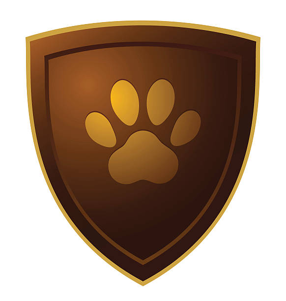 ilustrações de stock, clip art, desenhos animados e ícones de pata com garras escudo - paw print paw shield vector