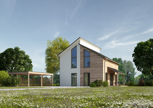 3d rendering of a modern house with a pent roof and wooden elements