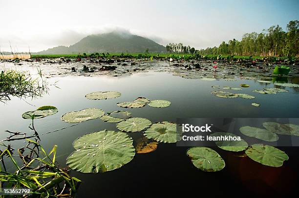 Foto de Chau Doc e mais fotos de stock de Chau Doc - Chau Doc, Míssil terra-ar, Ajardinado