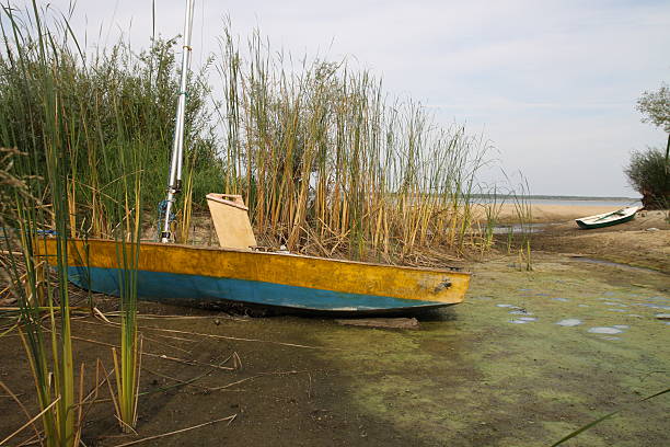 istock Dry share of lake 153653370