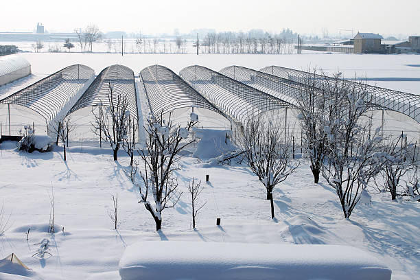 istock snow in the country 153653933