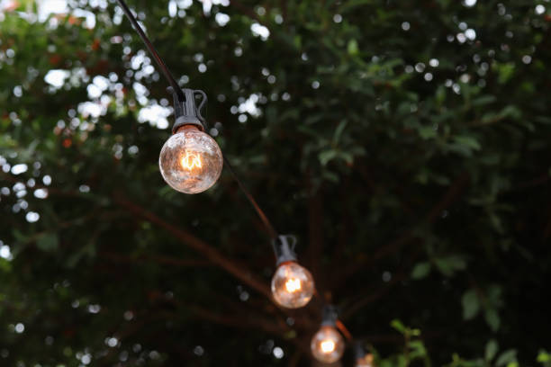 istock Decorative outdoor string lights hanging on tree in the garden 1536539547