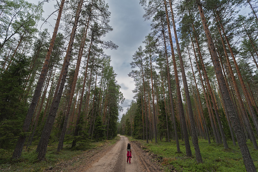 A little girl got lost alone in the forest on a summer day, view from the back. High quality photo