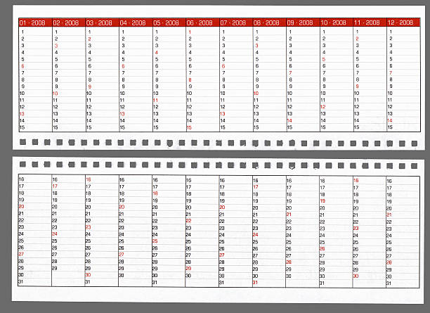 blank xxl international calendar 2008 isolated