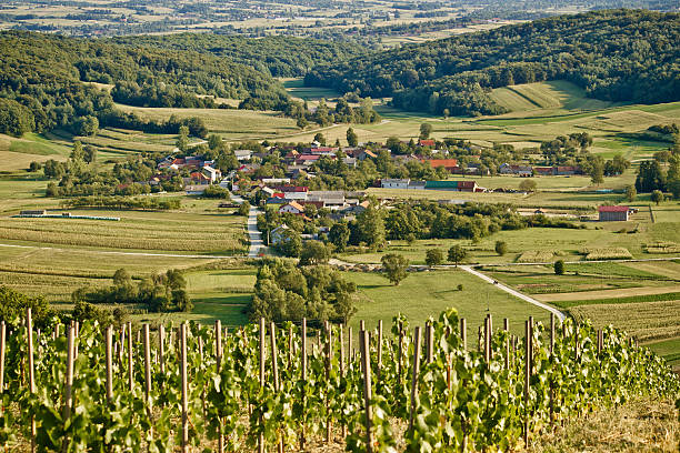 istock Village in green natural scenery 153656505