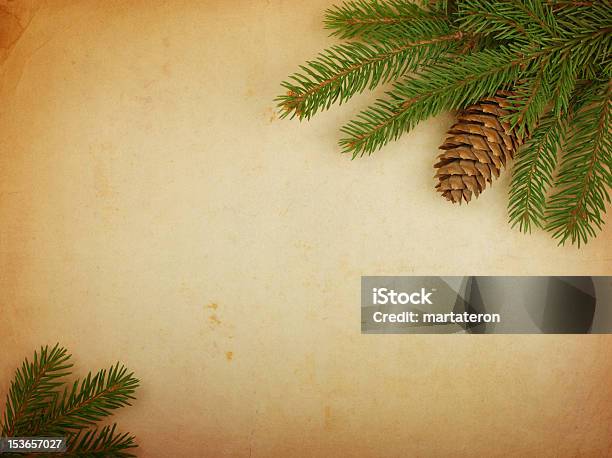 스프루스 지점 0명에 대한 스톡 사진 및 기타 이미지 - 0명, 12월, 가문비나무