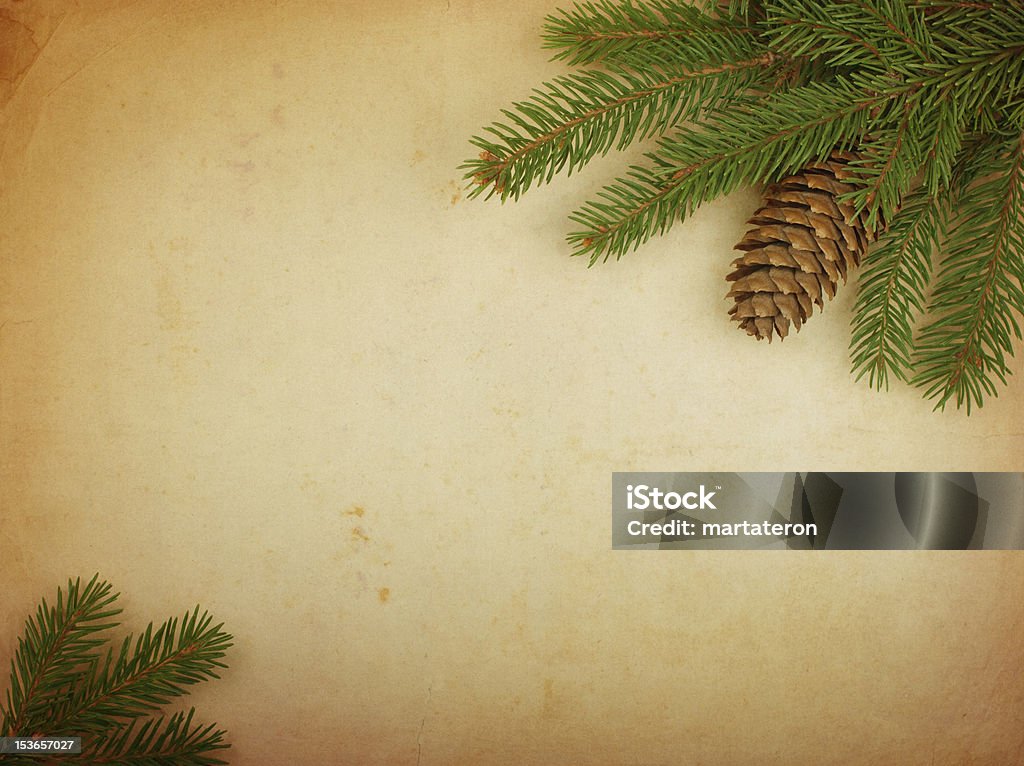Spruce filial - Foto de stock de Antigo royalty-free