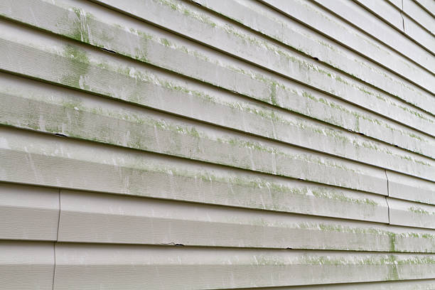 Dirty Vinyl Siding Needs Power Washing Green algae, mold, and dirty grime on a section of a residential homes' vinyl siding exterior. The green algae typically grows on the North facing side of a structure like it does on trees. This algae and grime is typically removed by pressure or power washing the siding. This siding was also recently damaged by a hail storm. faux wood stock pictures, royalty-free photos & images