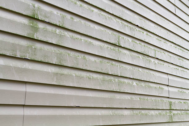 Dirty Vinyl Siding Needs Power Washing Green algae, mold, and dirty grime on a section of a residential homes' vinyl siding exterior. The green algae typically grows on the North facing side of a structure like it does on trees. This algae and grime is typically removed by pressure or power washing the siding. This siding was also recently damaged by a hail storm. mildew stock pictures, royalty-free photos & images