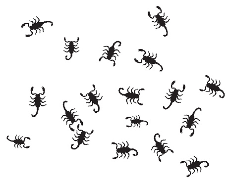 Scorpion vector set