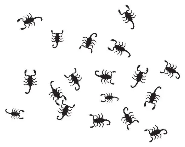 Vector illustration of Scorpion vector set