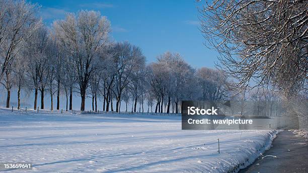 Winterlandschaft Stockfoto und mehr Bilder von Antarktis - Antarktis, Arktis, Baum