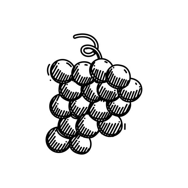 ilustrações, clipart, desenhos animados e ícones de ícone de linha de uva, design de esboço, pixel perfeito, traçado editável. logotipo, sinal, símbolo. - red grape grape fruit sweet food