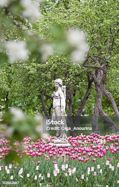 Parco In Primavera - Fotografie stock e altre immagini di Aiuola - Aiuola, Ambientazione esterna, Bellezza naturale