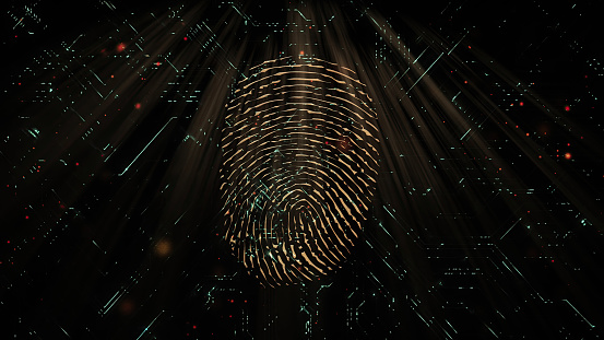 digital fingerprint