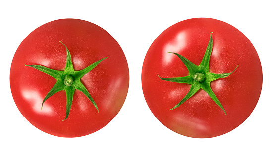 Tomatoes on an isolated white background.