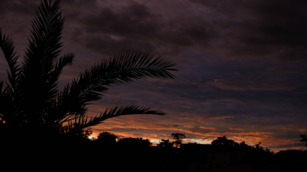 Dramatic orange clouds in the sky during sunset - Clouds in the sky background - Silhouette of tree in the foreground