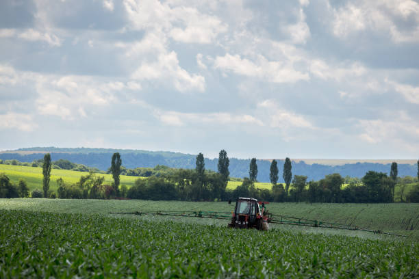 istock A farm tractor with a trailed sprayer processes a field sown with corn with plant protection products. Western Ukraine, Ternopil region. 1536653405