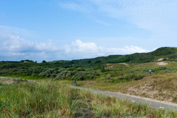 istock Road at the Zuidduinen 1536655301
