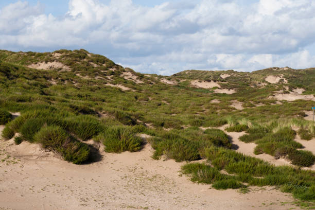 istock Landscape at the Noordduinen 1536662248