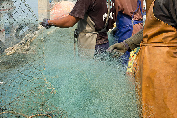 130+ Hand Pulling Fishing Net Stock Photos, Pictures & Royalty
