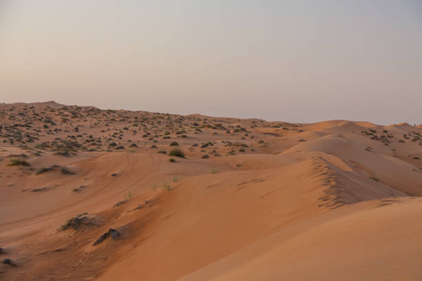 istock Oman's desert in the evening 1536672484