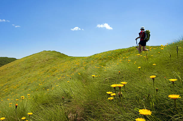 istock Trekking in the Alps, Italy 153667885