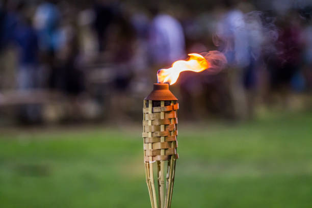 Hawaiian Luau Tiki Torch Flame