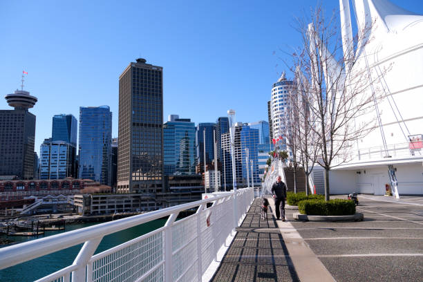 top of vancouver revolving restaurant man with a dog walks along vancouver waterfront canada place sails high buildings rascacielos en el fondo océano pacífico primavera árboles desnudos paseo matutino trotar - vancouver apartment skyline real estate fotografías e imágenes de stock