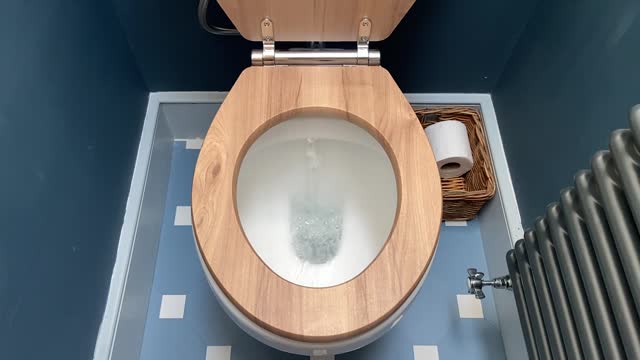 Toilet Flush Water Slow Mo