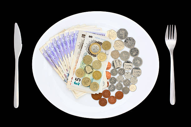 istock Plate of Money 153676317