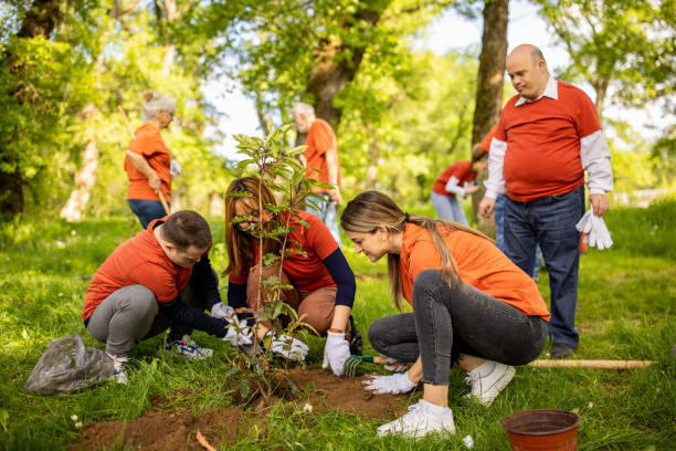 istock Group of volunteers planting trees in a forest 1536775656